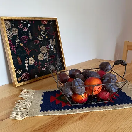 Apartment Cu Terasa Timisoara