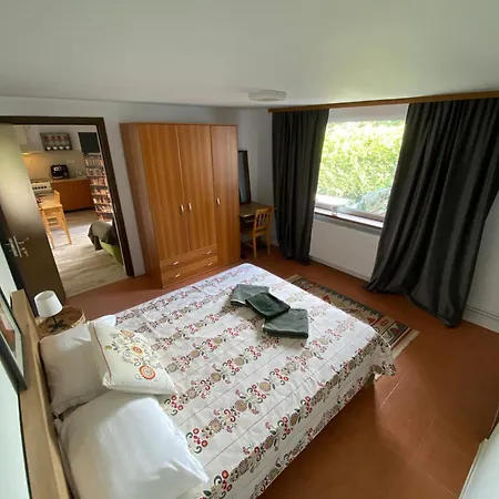 Cu Terasa Apartment Timisoara