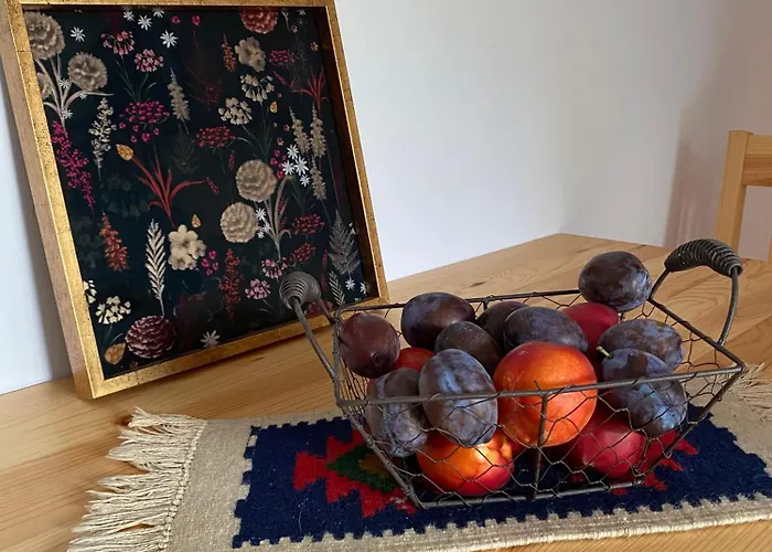 Apartment Cu Terasa Timisoara