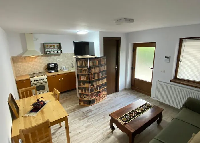 Cu Terasa Apartment *