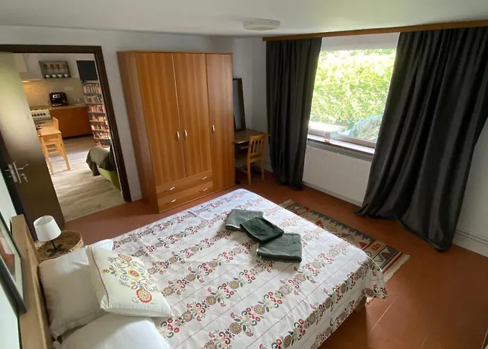 Cu Terasa Apartment Timisoara